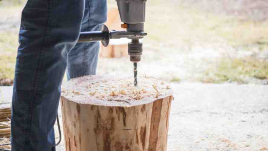 Understanding Maple Tapping
