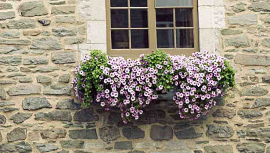 Safety and Maintenance Tips to hang window boxes on brick without Drilling