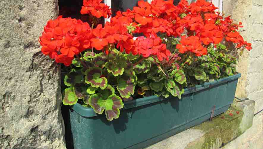 Preparation and Planning to hang window boxes on brick without Drilling